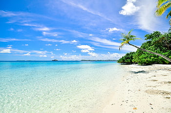 plage, atoll de laamu, Maldives, eaux turquoises, ciel clair, littoral, palmiers, paysage tropical, sable blanc, vue panoramique, photographie de nature