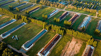 aerial shot, rural farmland, green fields, farm buildings, daylight, assorted-color buildings, farm structures, countryside landscape, agricultural land, rural scenery, farmhouses