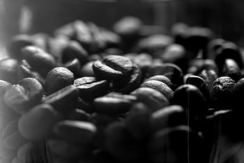 coffee, beans, drink, caffeine, roasted, brown, gray Coffee
