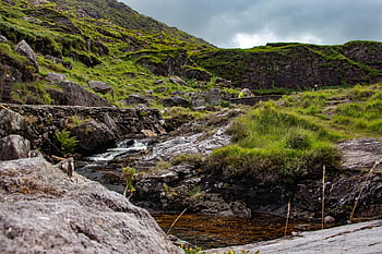 river, stream, field, valley, killarney, ireland, kerry, water, sky, clouds, nature