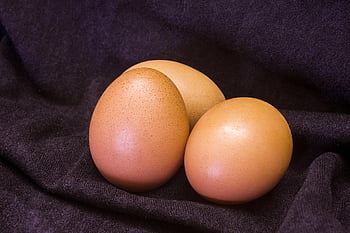 eggs, passover, easter, chicken, nature, tradition, custom, fertility, holidays