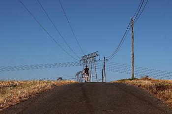 road, field, wheat Fields, electric Wires, cables, telephone, high Tension, electric Pole, man, back, hiker