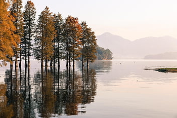jezero, les, Příroda, krajina, voda, řeka, hory, stromy, scenérie, venku, nebe