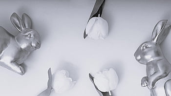 happy Easter, easter Bunnies, easter, easter Festival, tulips, black And White, easter Theme, celebration, invitation Card, easter Card, easter Greetings