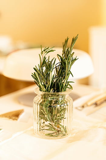 rosemary leaves, glass jar, fresh rosemary, culinary use, close-up, table, sprigs, herbs, kitchen, aromatic, natural