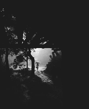 foto in scala di grigi, persona che cammina, giorno di pioggia, ombrello, Shakpura, bangladesh, Path piovoso, silhouette, albero, natura, scena all'aperto