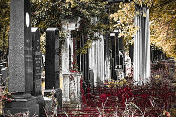 graveyard, vienna, cemetery, graves, tombstone, burial Ground, death, grief, grave