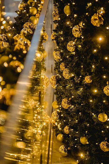Noel ağacı, Altın Toplar, şenlikli ışıklar, Parıldayan Noel Ağacı, kapalı Noel dekoru, Sıcak şenlikli ışıklar, Noel süsleri, altın süslemeleri, Noel çelenk, tatil dekoru, şenlikli atmosfer