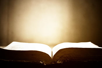 libro, pagine, libro aperto, testo, conoscenza, Bibbia, culto, khmer