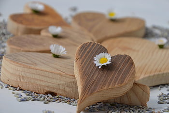 love, heart, valentine's Day, thank You, wooden Heart, lavender, daisy, decoration, happy Mothers Day, romantic, symbol