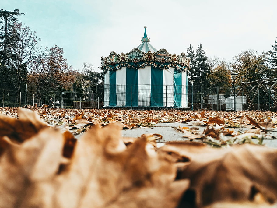 kolotoč, podzimní listí, park, ročník kolotoče, barevné listí, klidný park, hnědé listy, podlaha, rozmarný kolotoč, venkovní scénu, podzim
