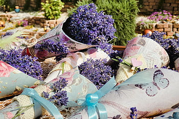 lavender, flowers, bouquet, market, paper Cones, wrapping Paper, purple Flowers, flora, flower Wallpaper, botany, beautiful Flowers