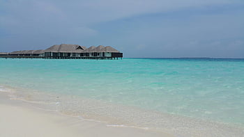 Maldives, plage tropicale, eau turquoise, Bungalows sur le toit en chaume, scène serein, scène de plage, plage des maldives, bungalows d'eau, paradis tropical, vacances à la plage, Vacances des Maldives