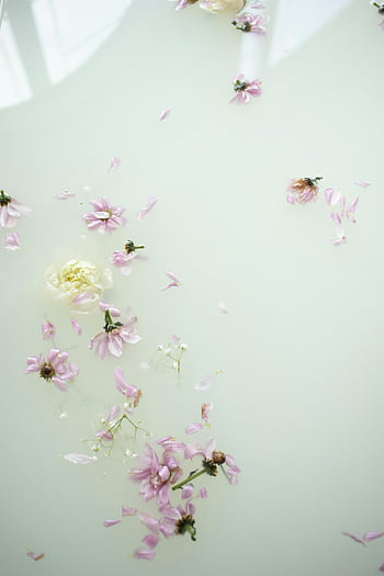 bathroom flowers, gentle purple flowers, serene arrangement, delicate pink blossoms, calm water surface, tranquil scene, floating flowers, bathroom decor, floral bath, spa-like atmosphere, peaceful ambiance