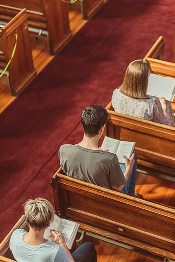 church pews, people reading, Bible, high angle view, reflection, spirituality, inside church, wooden pews, red carpet, religious setting, spiritual reading