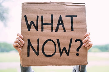 Banner di cartone, e adesso, segno di protesta, incertezza, protesta all'aperto, segno di cartone, messaggio di protesta, Domanda 
