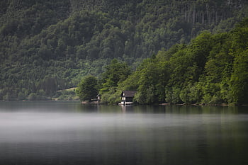 house on lake, tranquil lake, dense forest, Ribčev Laz, nature lovers, travel enthusiasts, lake surrounded by trees, peaceful scenery, natural beauty, serene environment, lakeside cabin