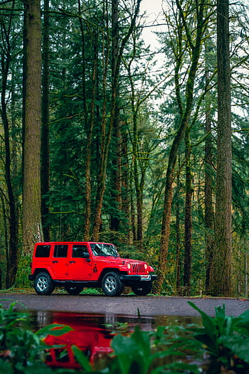 Red Jeep Wrangler, Rubicon, forest, off-road, SUV, Portland, lush, road, vehicle, nature, trees