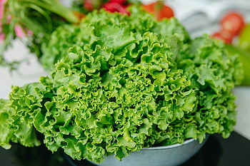 green vegetable, bowl, vibrant green lettuce, freshness, health, perfect for salads, salad ingredients, fresh lettuce, green salad, healthy eating, leafy greens