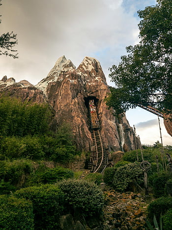 Expedition Everest, roller coaster, Walt Disney World, lush greenery, extreme ride, thrilling attraction, mountain view, adventure park, Disney theme park, scenic landscape, family entertainment