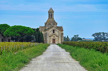chateau, vineyard, church, bell Tower, chapel, landscape