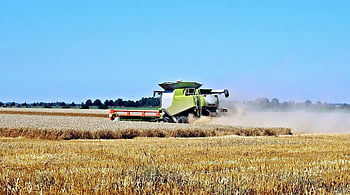 combine harvester, wheat harvest, sunny day, countryside, green gardening truck, agricultural machinery, field, farming, harvest season, rural scene, combine harvester in action