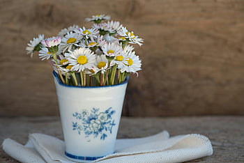 white-and-yellow dairy flowers, daisies, porcelain vase, rustic background, floral arrangement, white flowers, yellow centers, decorative vase, natural setting, country style, floral bouquet