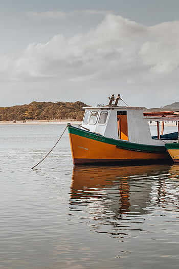 fishing boat, vibrant yellow, green boat, calm waters, Brazilian coastline, moored boat, ocean, lush coastline, yellow and green, fishing vessel, calm sea