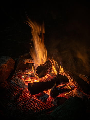 fuoco, brace, calore, fiamme, caldo, bruciare, campo, campeggio, Fumo, legna, arancia