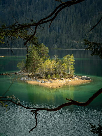 islet, lake, forested lake, conifer trees, nature lovers, solitude lovers, peaceful islet, natural scenery, lake view, forested islet, serene landscape