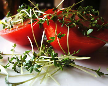 red food, leaf vegetable, tomato, microgreens, healthy eating, fresh produce, vegetarian, salad ingredient, natural food, organic, sprouts