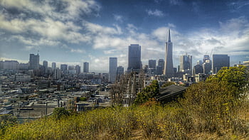 San Francisco Skyline, Transamerica-Pyramide, bewölkter Tag, Panoramablick, Stadtbild, städtische Landschaft, Wolkenkratzer, Innenstadt von San Francisco, IKone Skyline, bewölkter Himmel, die Architektur