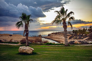 sunset, palm Trees, seaside, sky, clouds, storm, sea, horizon, scenery, twilight, nature