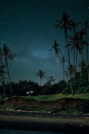 surf, pobřeží, Hvězdná obloha, kokosové palmy, bali, Indonésie, surfař, noční scénu, pláž, palmy, mléčná dráha