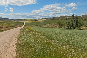 pouť, poutník, túra, Příroda, jakobsweg, camino, Španělsko, krajina