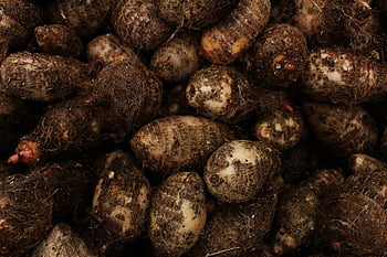 yam, yam Background, mac Wallpaper, wallpaper Hd, desktop Backgrounds, food, background, cool Backgrounds, vegtable, the Root, fresh