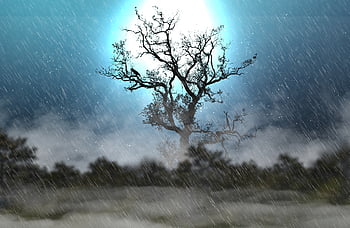 rain, moon, fantasy, raindrop, moonlight, tree, night, forest, nature, dark, fog