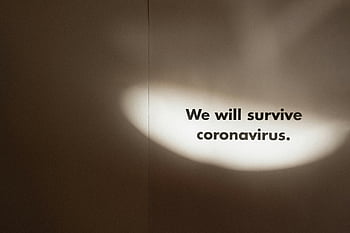 grayscale photo, slogan, coronavirus, motivational text, We will survive, spotlight effect, wall text, pandemic message, black and white, inspirational quote, virus survival