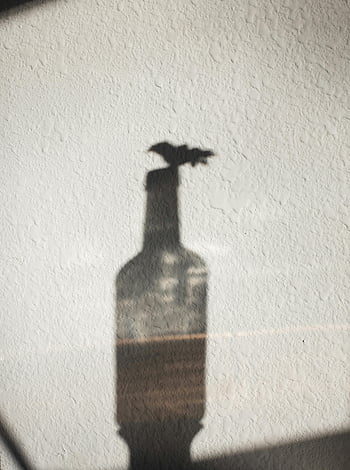 shadow, glass bottle, white wall, daylight, decorative vase, flowers, textured wall, sunlight, shadow play, bottle shadow, vase shadow