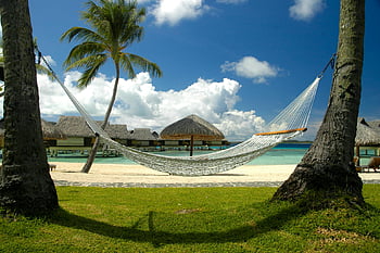 amaca bianca, scena della spiaggia, bungalow, palme, giorno soleggiato, spiaggia rilassante, spiaggia tropicale, Hammock sulla spiaggia, vacanza al mare, stabilimento balneare, vista sull'oceano