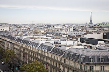 Paris skyline, Eiffel Tower, high-angle view, panoramic view, Paris cityscape, urban landscape, French architecture, Paris rooftops, city panorama, Paris aerial view, Paris landmarks