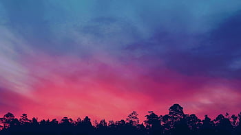 sunset silhouette, trees silhouette, golden hour, vibrant sky, pink sky, blue sky, twilight sky, nature photography, landscape photography, evening sky, tree line