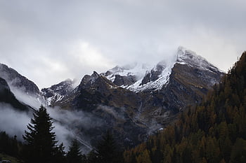 hory, sníh, mlha, stromy, les, zasněžené, mraky, Alpy, vysokohorský, pohoří, krajina