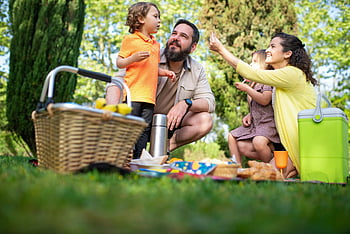 family picnic, sunny park, greenery, trees, children, outdoor activity, picnic basket, thermos, cooler, nature, happiness