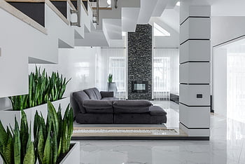spacious living room, minimalist design, contemporary mansion, modern design, sleek furniture, vibrant indoor plants, luxurious living room, minimalist furniture, modern mansion, indoor greenery, contemporary interior design
