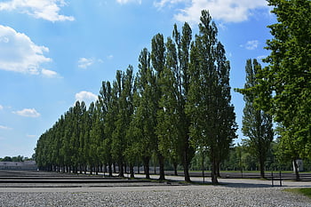 konentrationslager, dachau, ιστορία, kz, το παρελθόν, μνημείο, στρατόπεδο συγκέντρωσης, δολοφονία, Βαυαρία, Γερμανία, μνήμη
