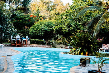 swimming pool, serene poolside, lush greenery, relaxation, leisure, outdoor oasis, tropical setting, pool chairs, natural surroundings, tranquil environment, water feature