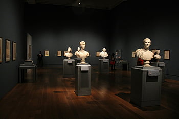 art gallery, classical sculptures, framed art, elegant indoor lighting, gray stand, busts, indoor design, museum exhibit, classical art, gallery lighting, sculpture display