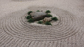japanese, garden, nature, earth, environment, zen, bamboo, water, pond, bonsai, meditation