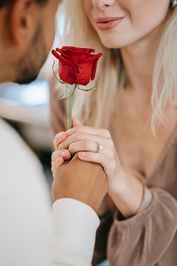 romantický pár, červená růže, milovat, náklonnost, detailní záběr, drželi se za ruce, symbolizující lásku, romantický okamžik, romantické gesto, Valentýn, Romantický pár drží Rose